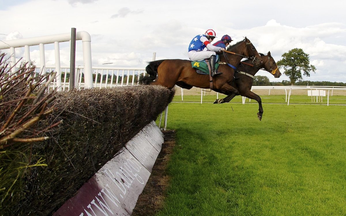 Cheltenham Festival Gold Cup Day - Minibus from Brighton