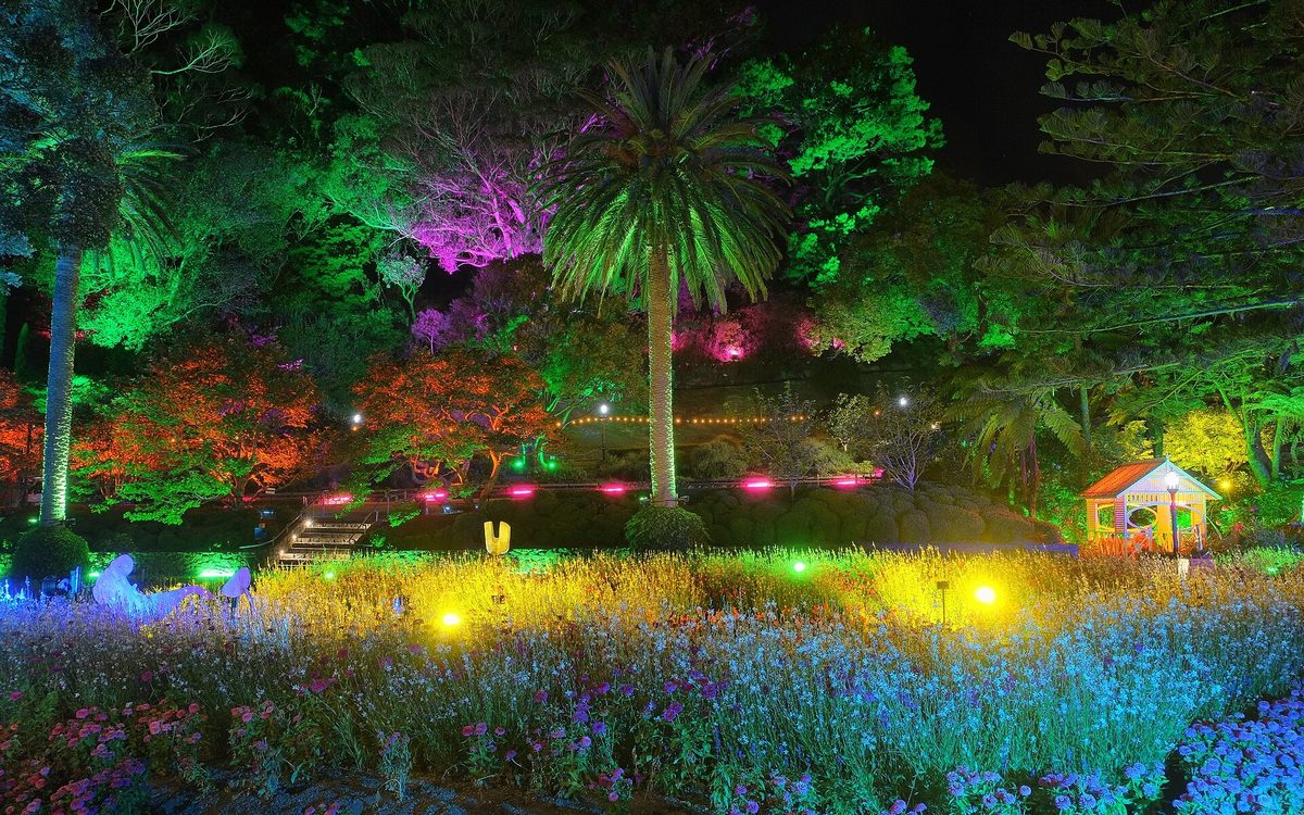 Glow Wild at Wakehurst
