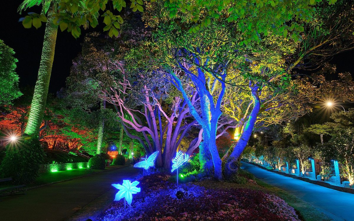Leonardslee Lights Christmas Trail - Evening Minibus from Brighton