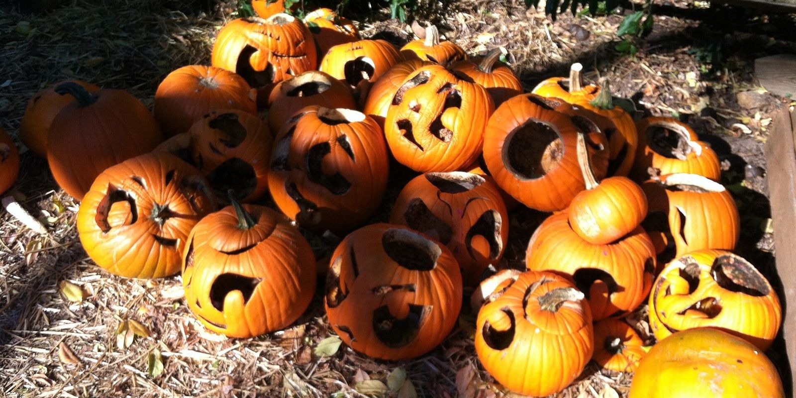 Shocktober Fest at Tulleys Farm: Halloween Weekend