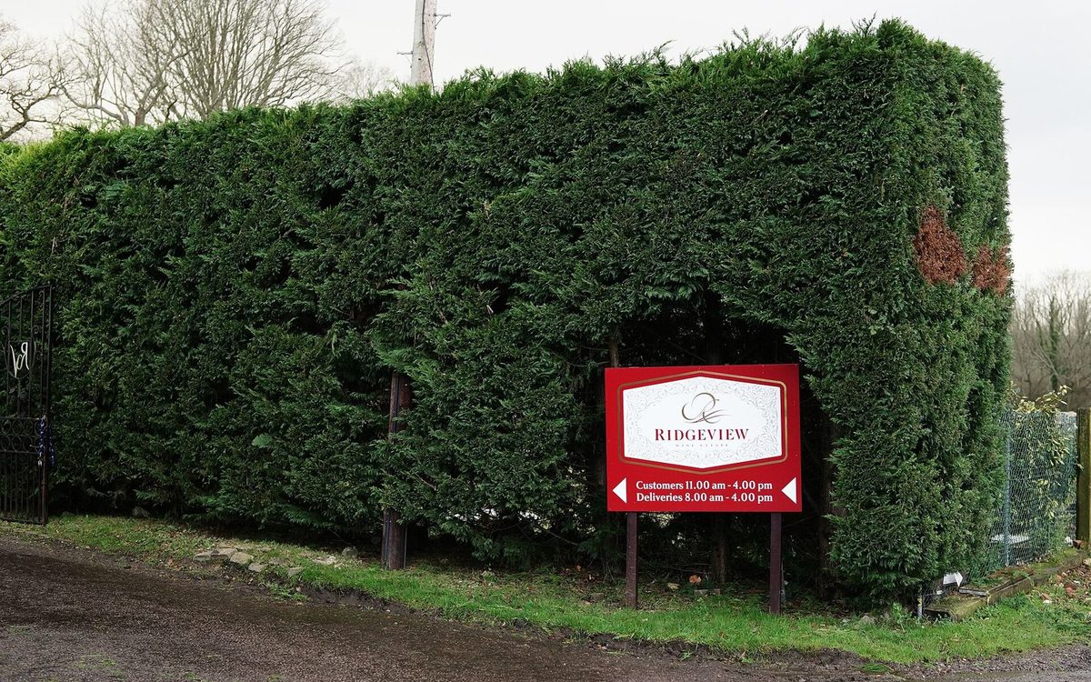 Sussex Vineyard Tour by Minibus - Shared Seats on Saturdays