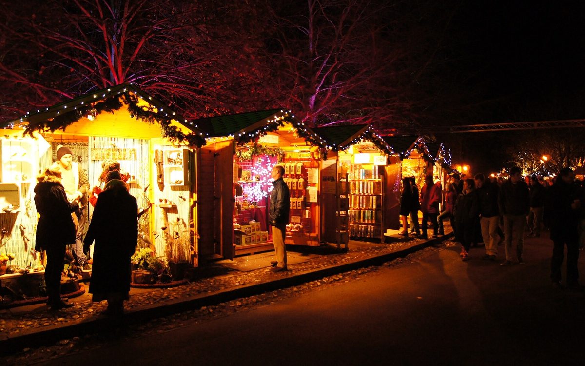Winchester Cathedral Christmas Market - Minibus Day Trip from Brighton